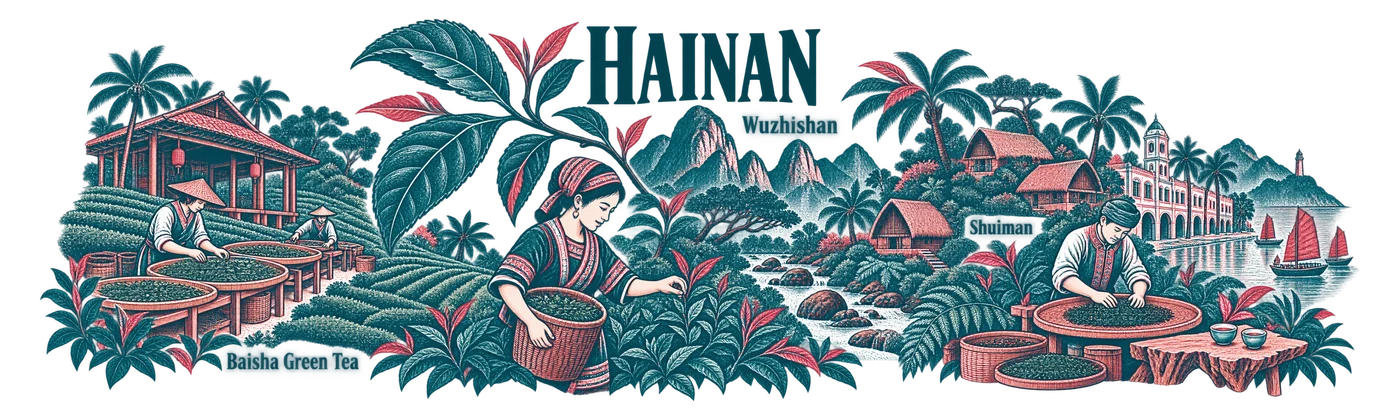 Hainan — Canopy of the tea leaf