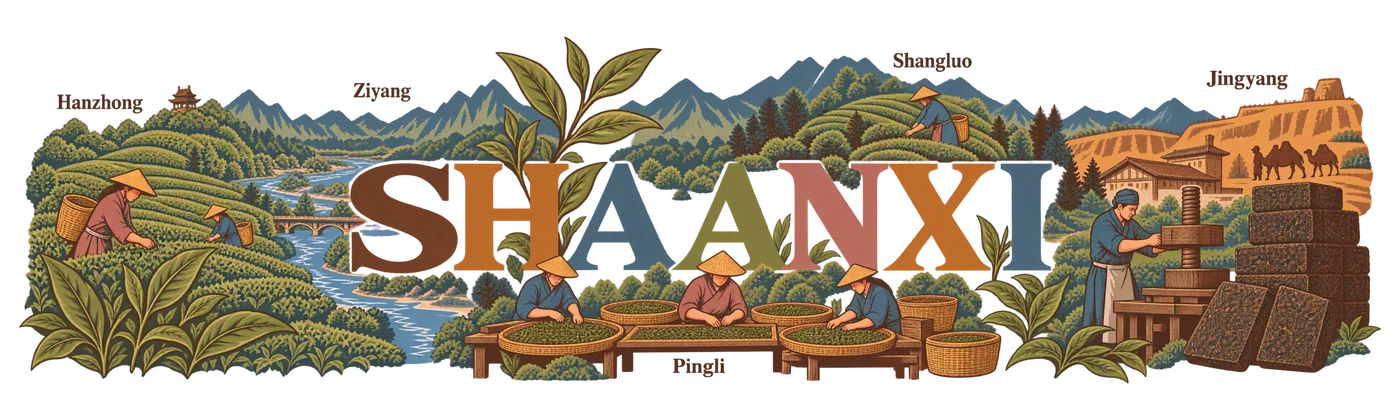 Shaanxi — Tea through the word
